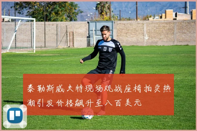 泰勒斯威夫特现场观战座椅拍卖热潮引发价格飙升至八百美元