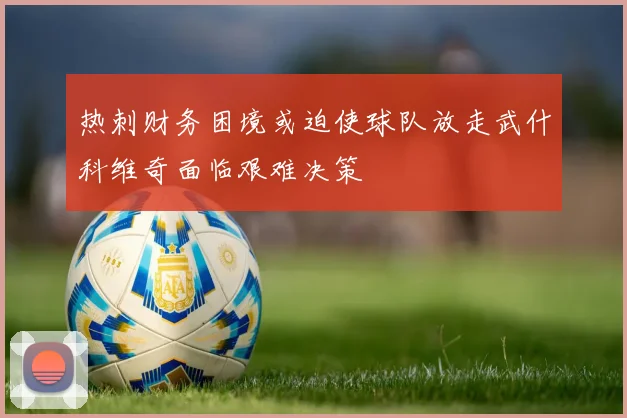 热刺财务困境或迫使球队放走武什科维奇面临艰难决策